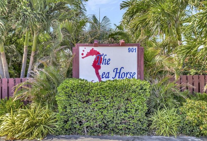 Мотель Seahorse Guesthouse