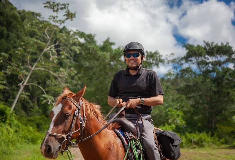 リゾートホテル Sleeping Giant Rainforest Lodge