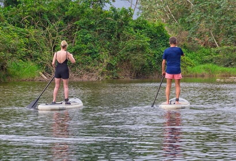 リゾートホテル Sleeping Giant Rainforest Lodge
