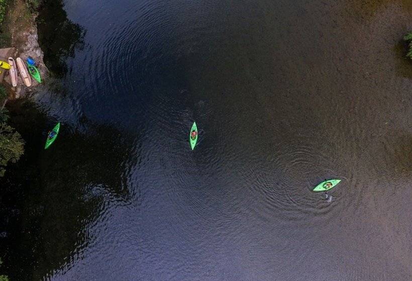 リゾートホテル Sleeping Giant Rainforest Lodge