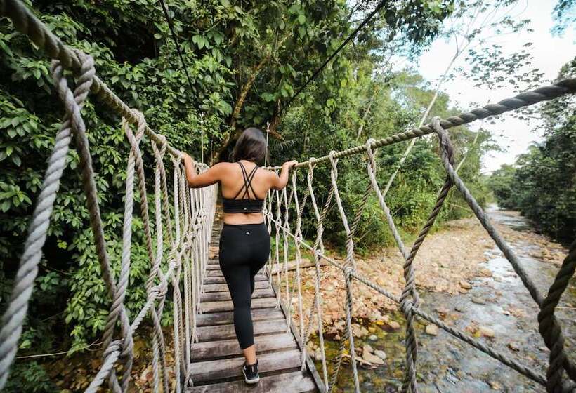 リゾートホテル Sleeping Giant Rainforest Lodge