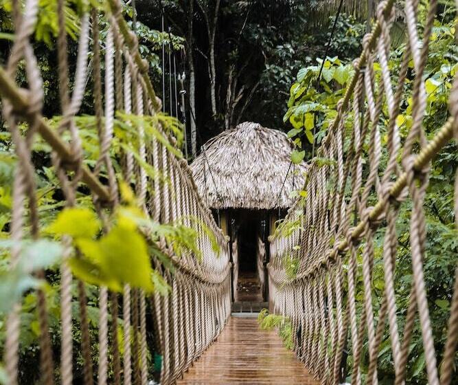 リゾートホテル Sleeping Giant Rainforest Lodge