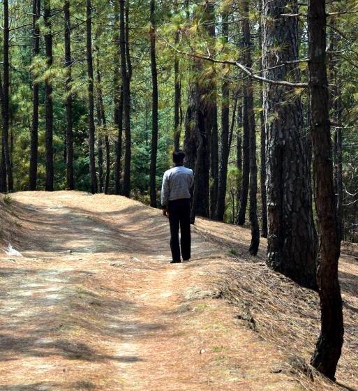 Курорт Xomotel Ranikhet Heights