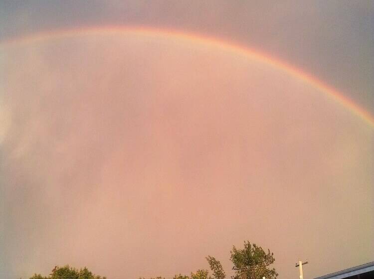 Viking Lamplighter Motel