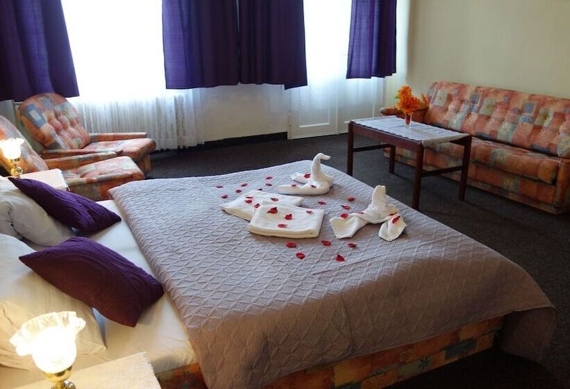 Wellness Hotel Haná