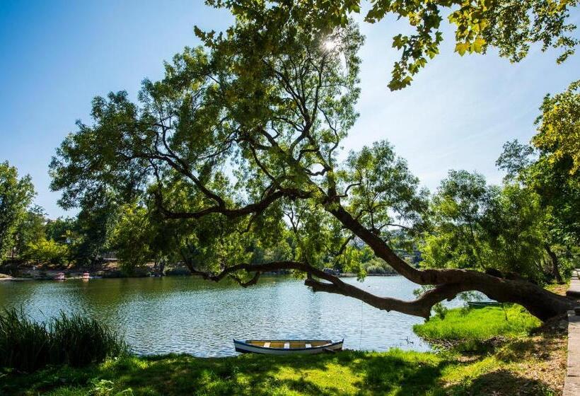 ユースホステル Des Arts