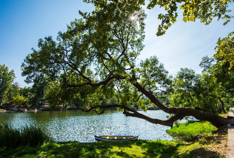 ユースホステル Des Arts