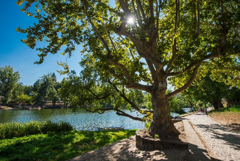 ユースホステル Des Arts