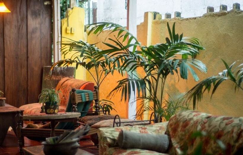 فندق صغير Punta Descartes