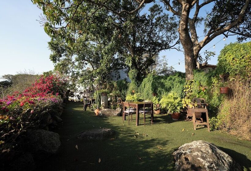 فندق صغير Punta Descartes