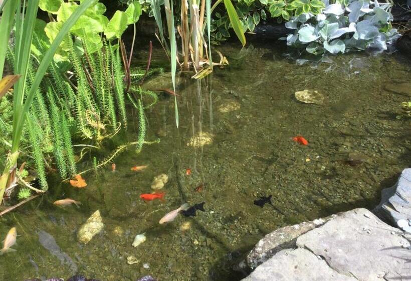 민박 Angel Cottage