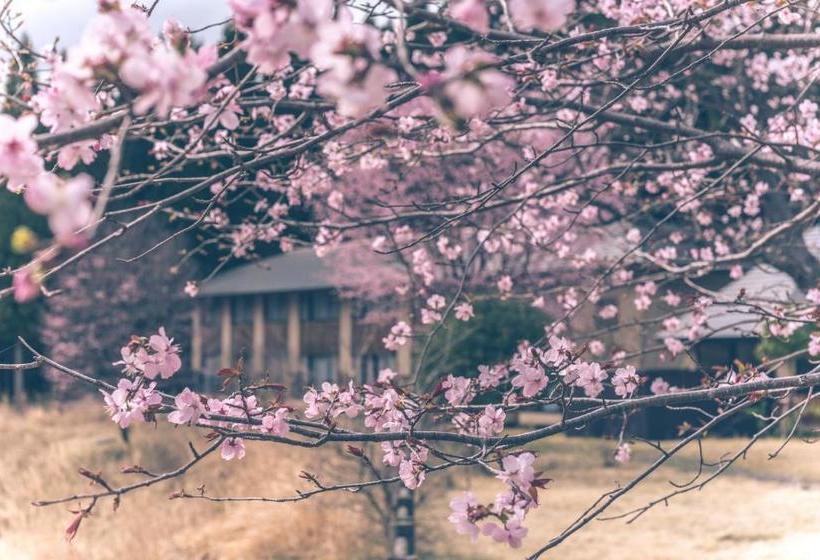 فندق Kaze No Hibiki