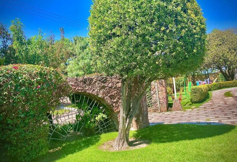 Отель Ojo De Agua