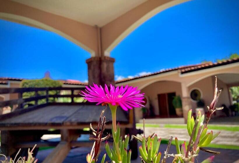 Отель Ojo De Agua