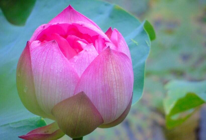 هتل Panhou Retreat