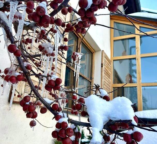 בית מלון כפרי Starý Mlýn