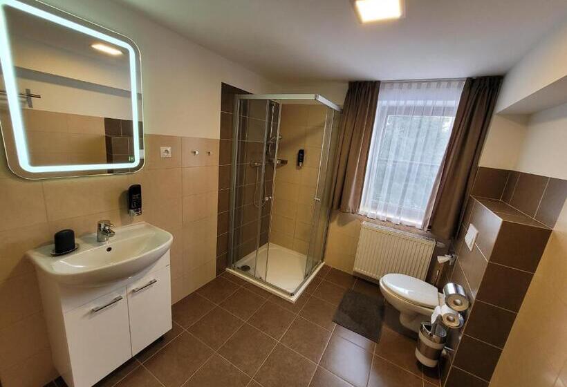 בית מלון כפרי Starý Mlýn