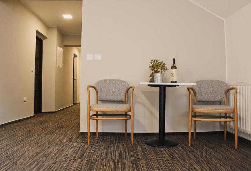 בית מלון כפרי Starý Mlýn