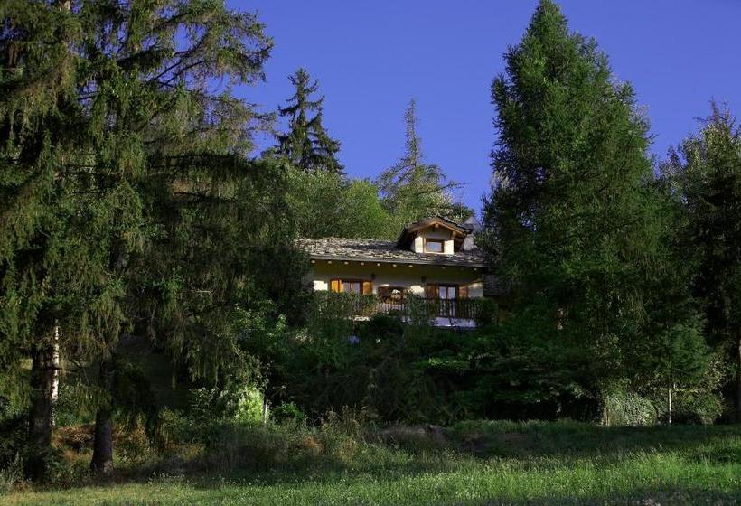 Il Giardino Dell Artemisia