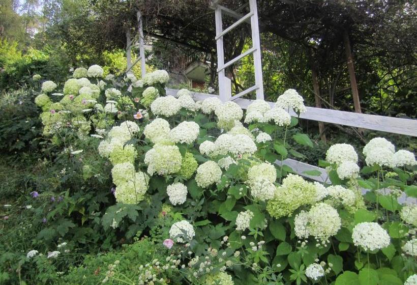 Il Giardino Dell Artemisia