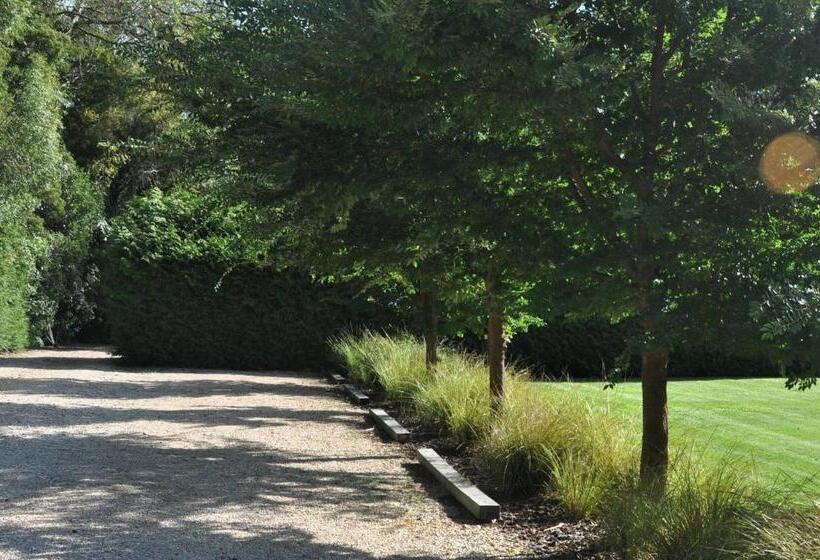 리조트 Adrift In Golden Bay Absolute Beachfront Villas