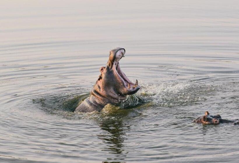 אתר נופש Monate Game Lodge