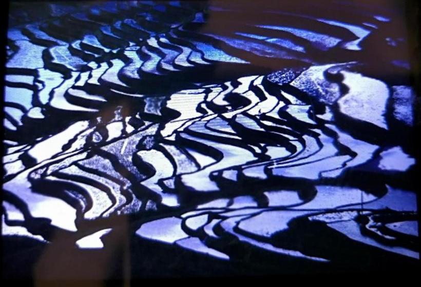 旅馆 Jacky's Guesthouse