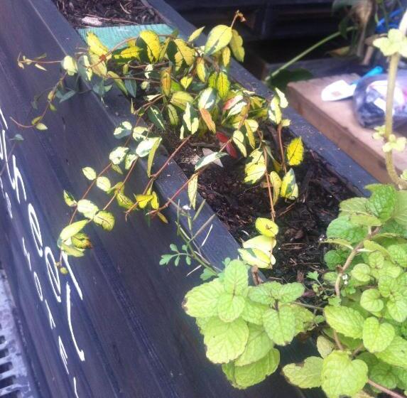 Music Uni Street Backpacker S Hostel