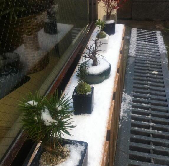 Music Uni Street Backpacker S Hostel