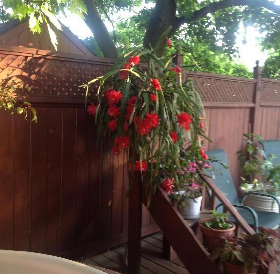 مبيت وإفطار 10th Avenue Guest House & Suites