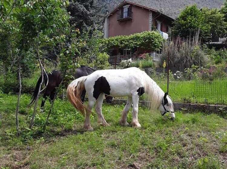 مبيت وإفطار A La Belle époque