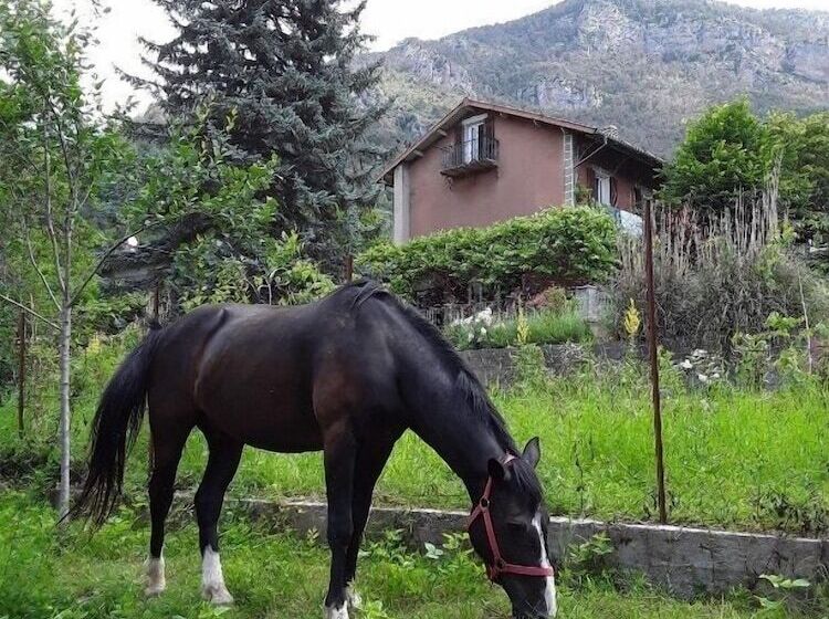 צימר A La Belle époque