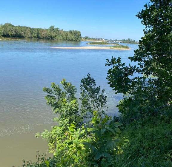 住宿加早餐 Logis Du Lièvre D Or