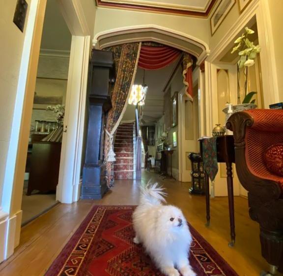 住宿加早餐  St Mary S Mount