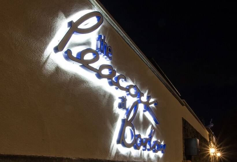 تختخواب و صبحانه The Peacock At Barlow