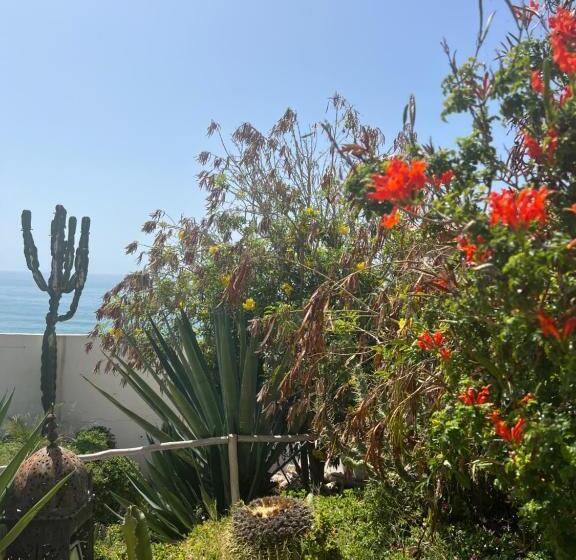 Bed and Breakfast Villa Jardin De L'ocean