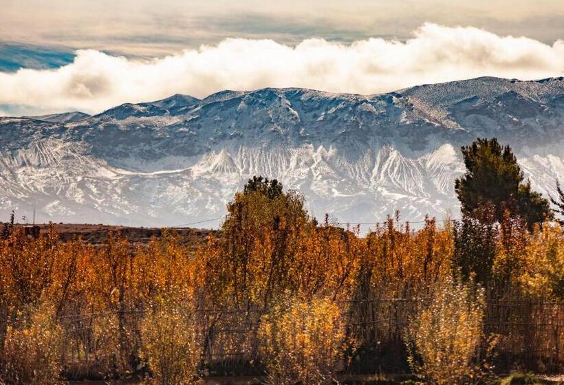 تختخواب و صبحانه Villa Pomme D'or