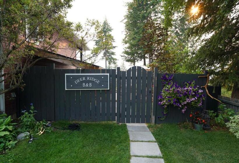 Deer Ridge B&b