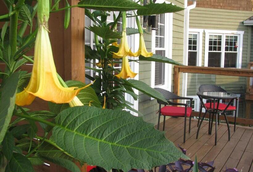 Gî'temps Couette Et Café B&b