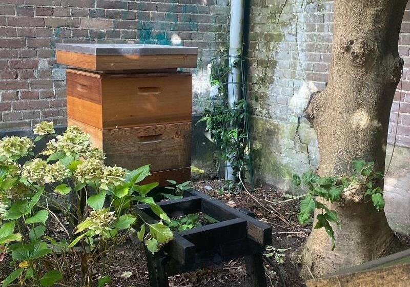 Boutiquehotel Staats