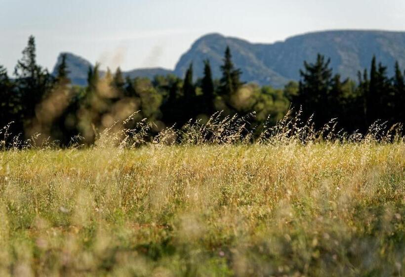 호텔 Domaine La Pierre Blanche