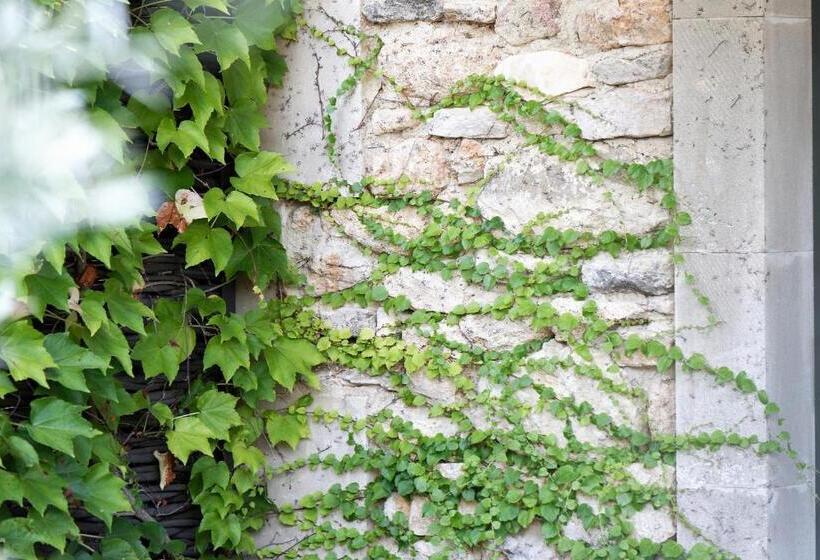 호텔 Domaine La Pierre Blanche