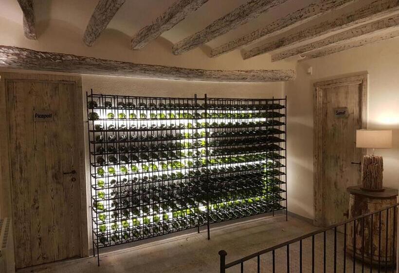 Отель Mas Del Sord 1335