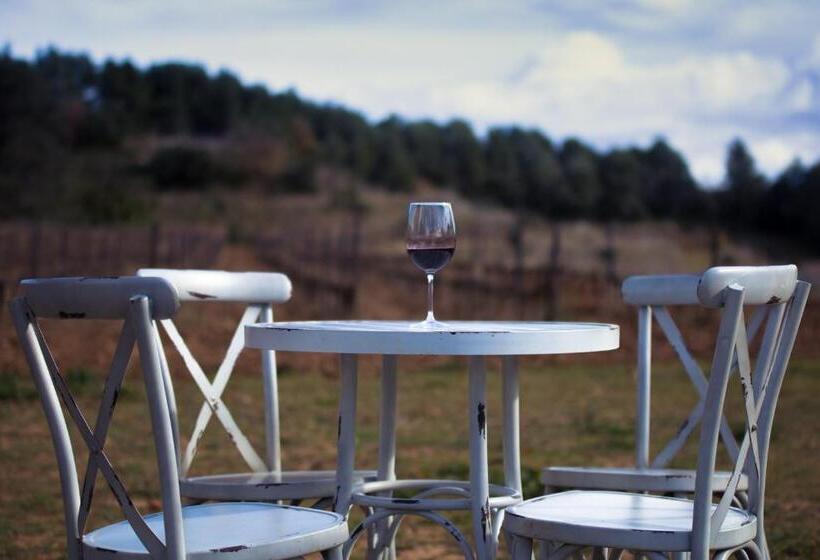 Отель Mas Del Sord 1335