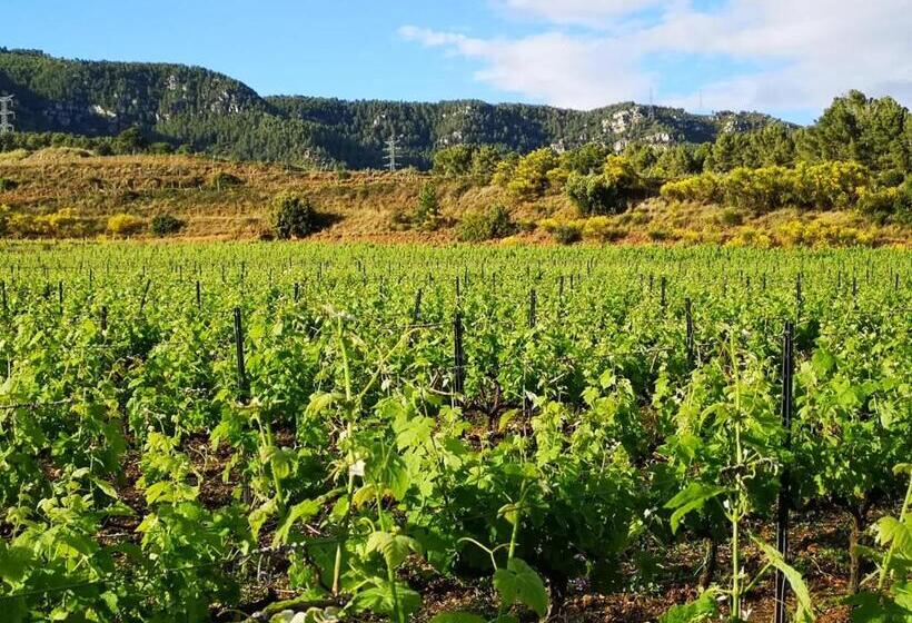 Отель Mas Del Sord 1335