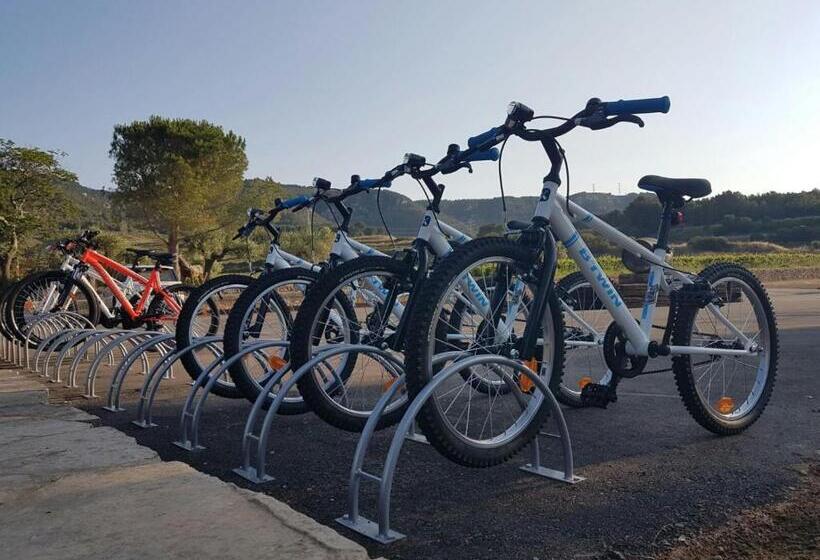 Отель Mas Del Sord 1335