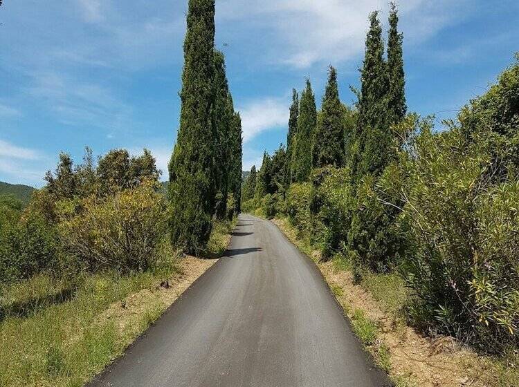 Отель Mas Del Sord 1335