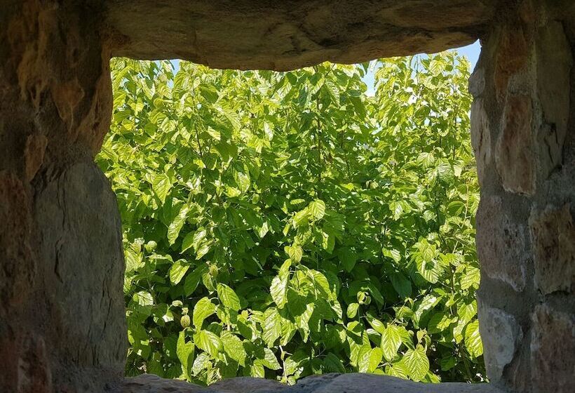 Отель Mas Del Sord 1335