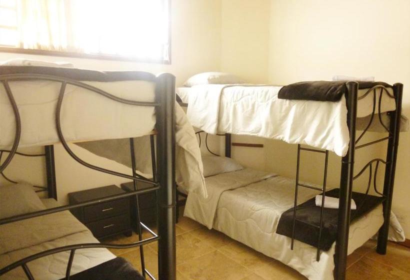 فندق Hostal Café Casa Caturro