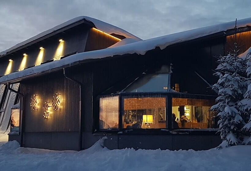 בית מלון כפרי Santa S Igloos Arctic Circle